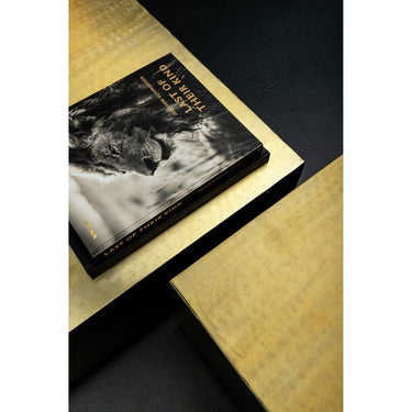 Beistelltisch - Irvy 81.0 x 81.0 x 35.0 cm Gold von PTMD - Esszett Luxury | Stilvolles Wohnen mit Charakter