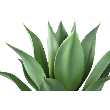 Blätter Pflanze Grün Agave im Plastiktopf von PTMD - Esszett Luxury | Stilvolles Wohnen mit Charakter