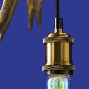 Ceiling Light – Sculptural Design, Exotic Animal Motif, Polyresin Construction, Golden Finish – Parrot Percy | WERNS
