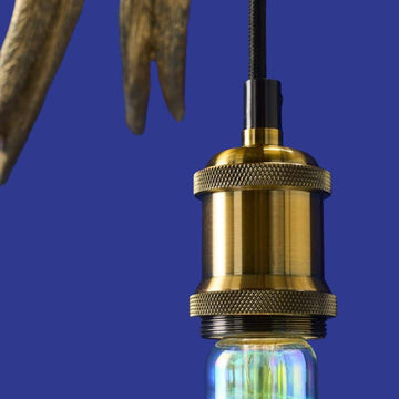 Ceiling Light – Sculptural Design, Exotic Animal Motif, Polyresin Construction, Golden Finish – Parrot Percy | WERNS