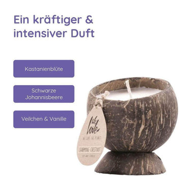 Coconut Candle Charming Chestnut von We Love The Planet - Esszett Luxury | Stilvolles Wohnen mit Charakter