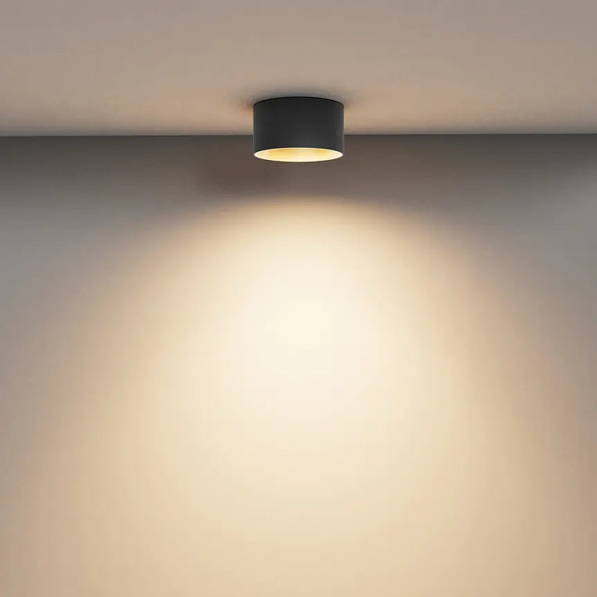 Ceiling light Black aluminum housing with matte gold inner ring, Warm white – Vega | Maytoni