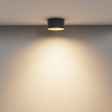 Deckenleuchte – Schwarz-Mattgold, Aluminium Gehäuse, 15 W Leistung - Vega | Maytoni