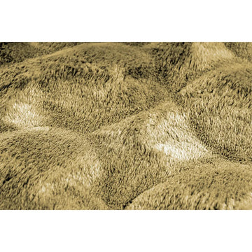 Teppich – Honigfarbener Luxus, Weicher Hochflor, Baumwollmix 200 cm - Glow 825 | Kayoom