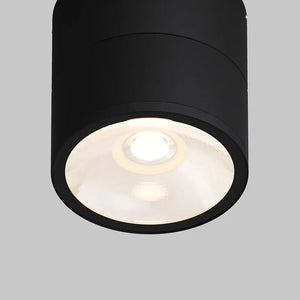 Ceiling light with swivel head Metal housing Glass diffuser – Spin | Maytoni