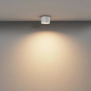 Deckenleuchte – Weißes Finish, Aluminium Gehäuse, 8 W Leistung - Vega | Maytoni