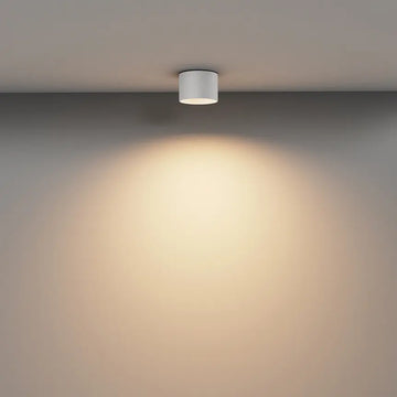 Ceiling Light White Aluminum Warm White – Vega | Maytoni