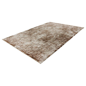 Teppich – Weicher Flor, Pfirsich Farbton, Hochwertig Gewebt, 300 cm - Amora 263 | Kayoom