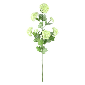 Hortensienblume Grüner Schneeball - Spray von PTMD - Esszett Luxury | Stilvolles Wohnen mit Charakter