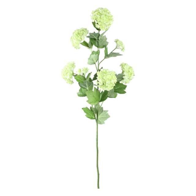 Hortensienblume Grüner Schneeball - Spray von PTMD - Esszett Luxury | Stilvolles Wohnen mit Charakter