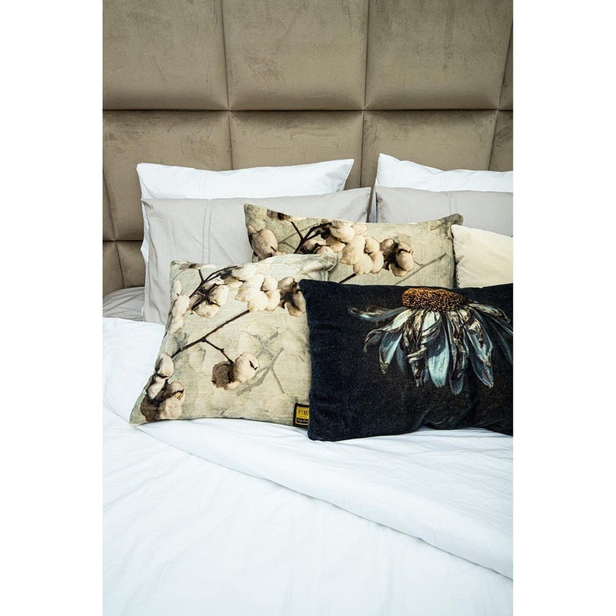 Kissen - Jash grey cotton velvet Quadrat (45 x 45 cm) von PTMD - Esszett Luxury | Stilvolles Wohnen mit Charakter