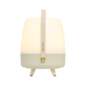 Polyethylene Loudspeaker Lamp with Wooden Handle and Brass Accents – Lite-up PLAY | Kooduu