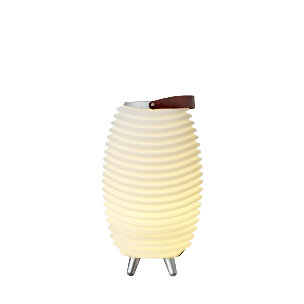 LED light with 3-in-1 function, Bluetooth speaker and wine cooler – Synergy 35 | Kooduu