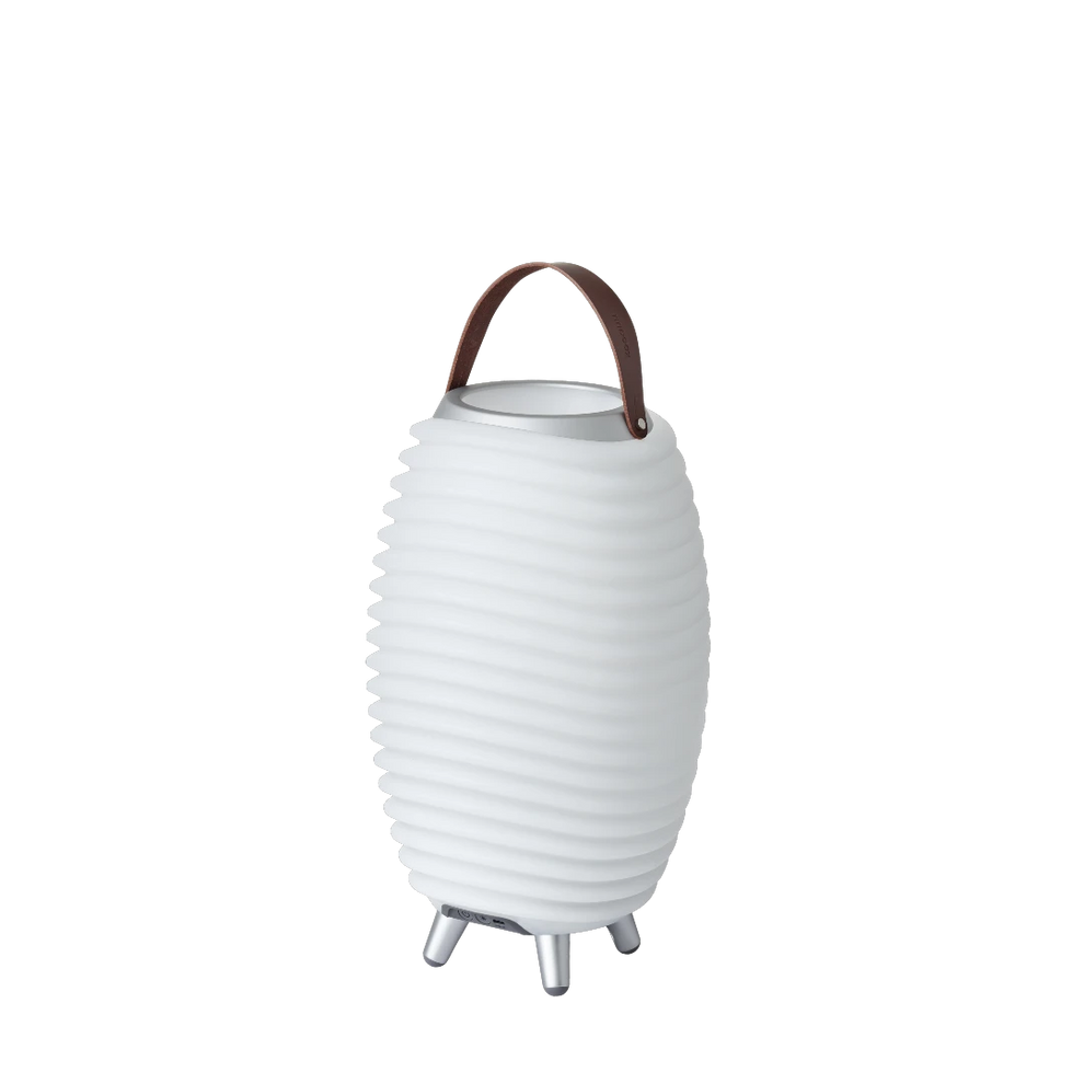 LED light with 3-in-1 function, Bluetooth speaker and wine cooler – Synergy 35 | Kooduu