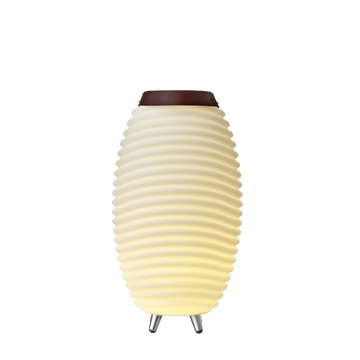 LED lamp with 3-in-1 function, Bluetooth speaker and wine cooler – Synergy 50 | Kooduu
