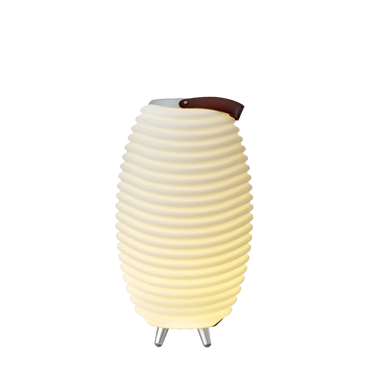 LED-Leuchte mit 3-in-1-Funktion, Bluetooth-Lautsprecher und Weinkühler – Synergy 50 | Kooduu