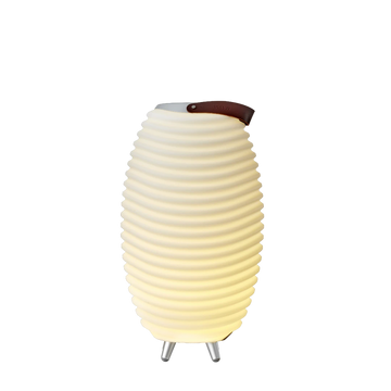 LED lamp with 3-in-1 function, Bluetooth speaker and wine cooler – Synergy 50 | Kooduu