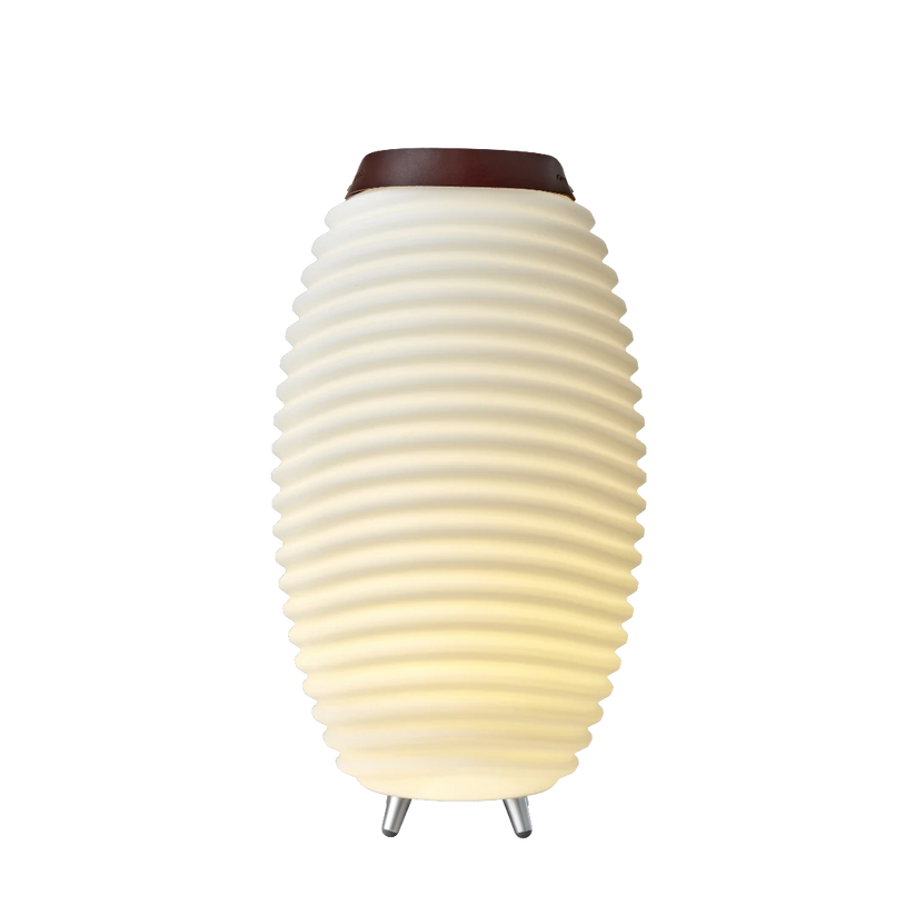 Tischleuchte mit 3-in-1-Funktion, Bluetooth-Lautsprecher und Weinkühler – Synergy 65 | Kooduu