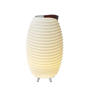 Tischleuchte mit 3-in-1-Funktion, Bluetooth-Lautsprecher und Weinkühler – Synergy 65 | Kooduu