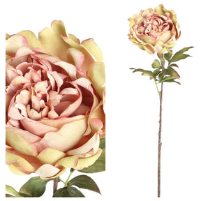 Kunstblume - Pfingstrose creme - rosa von PTMD - Esszett Luxury | Stilvolles Wohnen mit Charakter