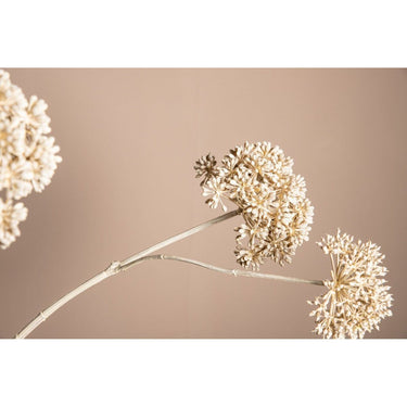 Kunstblume - Weißer Eukalyptus x3 von PTMD - Esszett Luxury | Stilvolles Wohnen mit Charakter