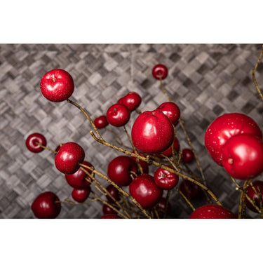 Kunstzweig - Apfel Rot 60.0 x 41.0 x 118.0 cm von PTMD - Esszett Luxury | Stilvolles Wohnen mit Charakter