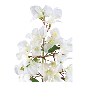 Kunstzweig - Bougainvillea Weiß von PTMD - Esszett Luxury | Stilvolles Wohnen mit Charakter