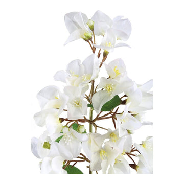 Kunstzweig - Bougainvillea Weiß von PTMD - Esszett Luxury | Stilvolles Wohnen mit Charakter