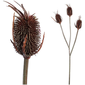 Kunstzweig - braune Banksia x3 von PTMD - Esszett Luxury | Stilvolles Wohnen mit Charakter