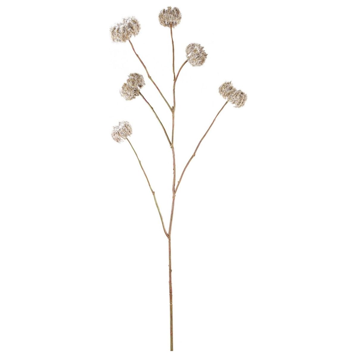 Kunstzweig - Brown Dried Look Clematis Seeds von PTMD - Esszett Luxury | Stilvolles Wohnen mit Charakter