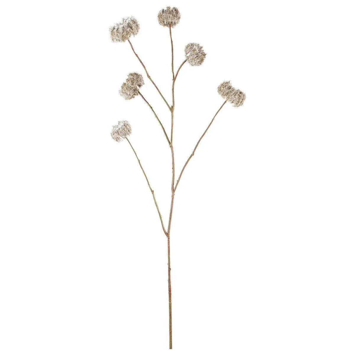 Kunstzweig – Kunststoff Material, Beige Farbe, Clematis Zweig | PTMD