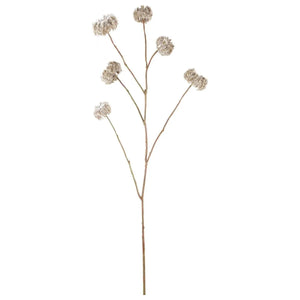 Kunstzweig – Kunststoff Material, Beige Farbe, Clematis Zweig | PTMD