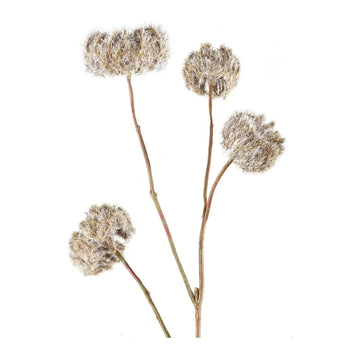 Artificial branch with clematis seeds, brown dried-look, and high-quality material feel | PTMD