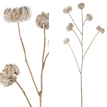 Artificial branch with clematis seeds, brown dried-look, and high-quality material feel | PTMD