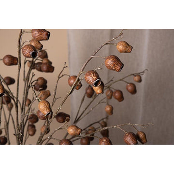 Kunstzweig - Brown Eucalyptus pods von PTMD - Esszett Luxury | Stilvolles Wohnen mit Charakter