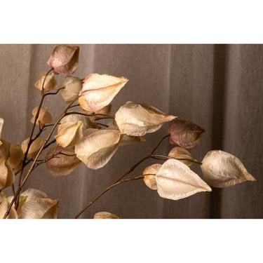 Kunstzweig - Cream Physalis Spray von PTMD - Esszett Luxury | Stilvolles Wohnen mit Charakter