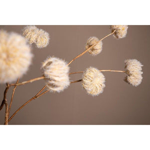 Kunstzweig - getrocknete Clematis Blüten x6 von PTMD - Esszett Luxury | Stilvolles Wohnen mit Charakter