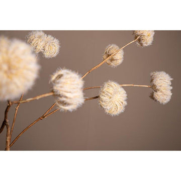 Kunstzweig - getrocknete Clematis Blüten x6 von PTMD - Esszett Luxury | Stilvolles Wohnen mit Charakter
