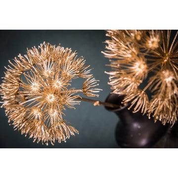 Artificial plant made of high-quality plastic with a sculptural flower shape, decorative structure, and elegant surface feel M | PTMD