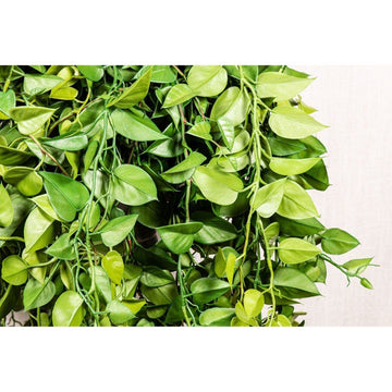 Kunstzweig - Philodendron hängend von PTMD - Esszett Luxury | Stilvolles Wohnen mit Charakter