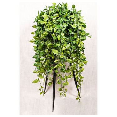 Kunstzweig - Philodendron hängend von PTMD - Esszett Luxury | Stilvolles Wohnen mit Charakter