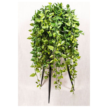 Kunstzweig - Philodendron hängend von PTMD - Esszett Luxury | Stilvolles Wohnen mit Charakter