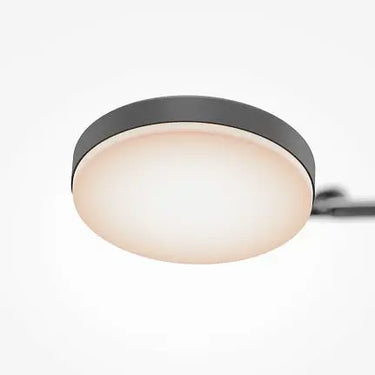 Ceiling Light Black Multi-Arm Adjustable LED Design – Fad | Maytoni