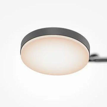 Ceiling Light Black Multi-Arm Adjustable LED Design – Fad | Maytoni