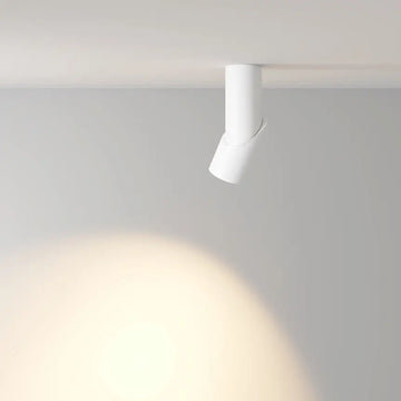 Ceiling Light White Aluminum 10W LED Modern Design & IP20 – Dafne | Maytoni
