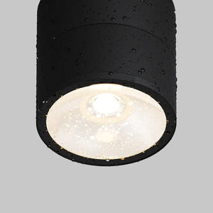 Ceiling light with swivel head Metal housing Glass diffuser – Spin | Maytoni