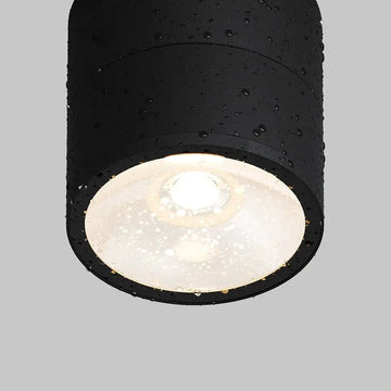 Ceiling light with swivel head Metal housing Glass diffuser – Spin | Maytoni