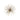 Statue - Gerris Gold 20.5 x 20.5 x 20.5 cm von PTMD - Esszett Luxury | Stilvolles Wohnen mit Charakter
