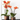 Zimmerpflanze Orchideen - Duo Orange Duftblüten, Ø12 cm – Kombi - Angebot | Kolibri Orchids - Esszett Luxury | Stilvolles Wohnen mit Charakter