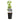 Climbing Plant with White Flowers, Up to 3m – Clematis Justa | GreenboutiQ - Esszett Luxury | Stilvolles Wohnen mit Charakter